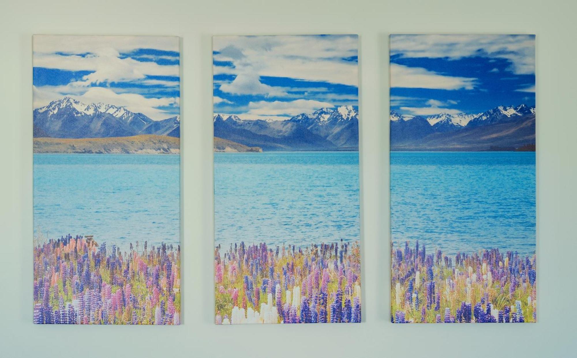 Kingfisher Lodge Lake Tekapo Camera foto